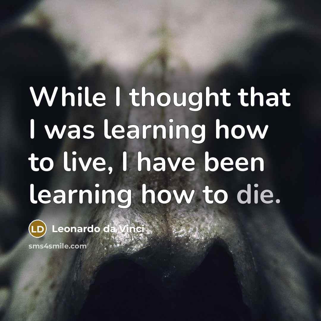 “While I thought that I was learning how to live, I have been learning how to die.” quote by Leonardo Da Vinci