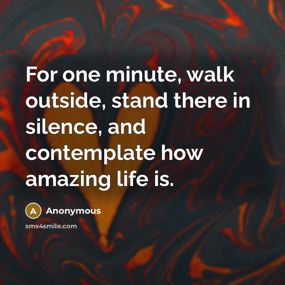 “For one minute, walk outside, stand there in silence, and contemplate how amazing life is.” quote by Anonymous