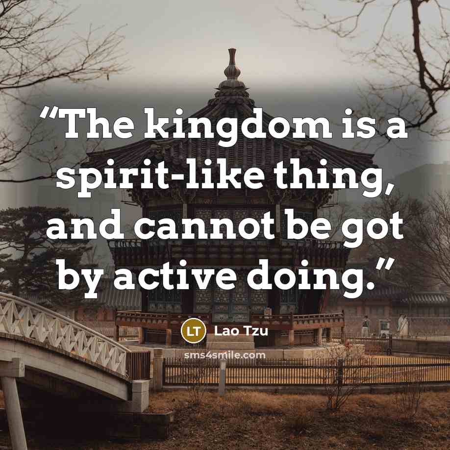 “The kingdom is a spirit-like thing, and cannot be got by active doing.” quote by Lao Tzu