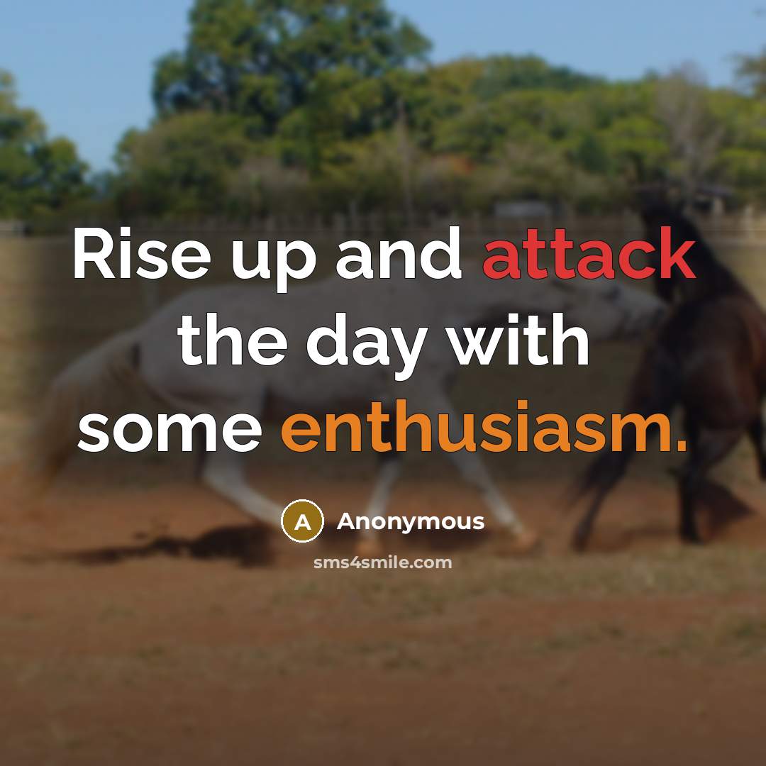 “Rise up and attack the day with some enthusiasm.” quote by Anonymous