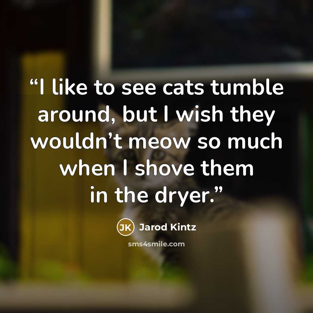 “I like to see cats tumble around, but I wish they wouldn’t meow so much when I shove them in the dryer.” quote by Jarod Kintz
