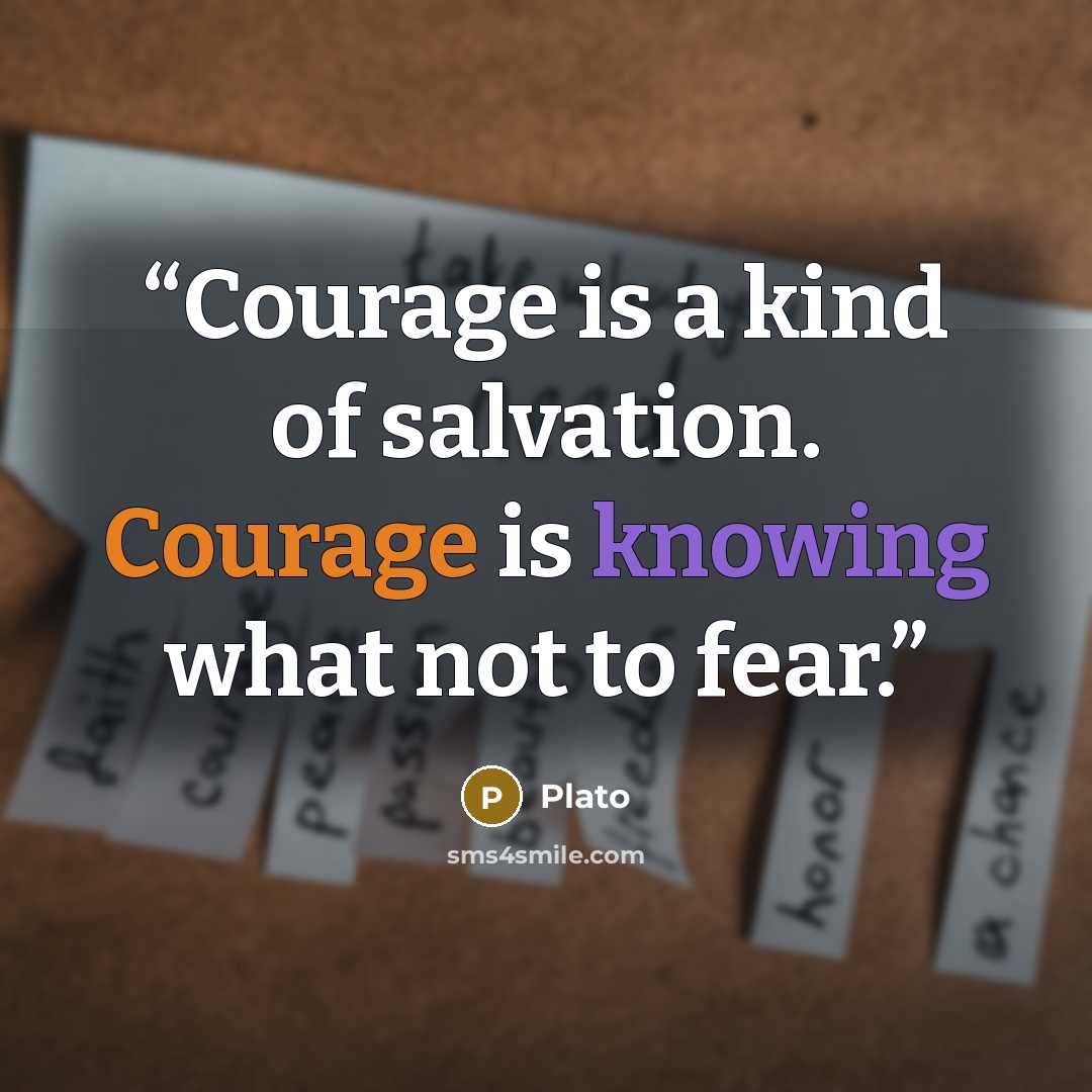 “Courage is a kind of salvation. Courage is knowing what not to fear.” quote by Plato