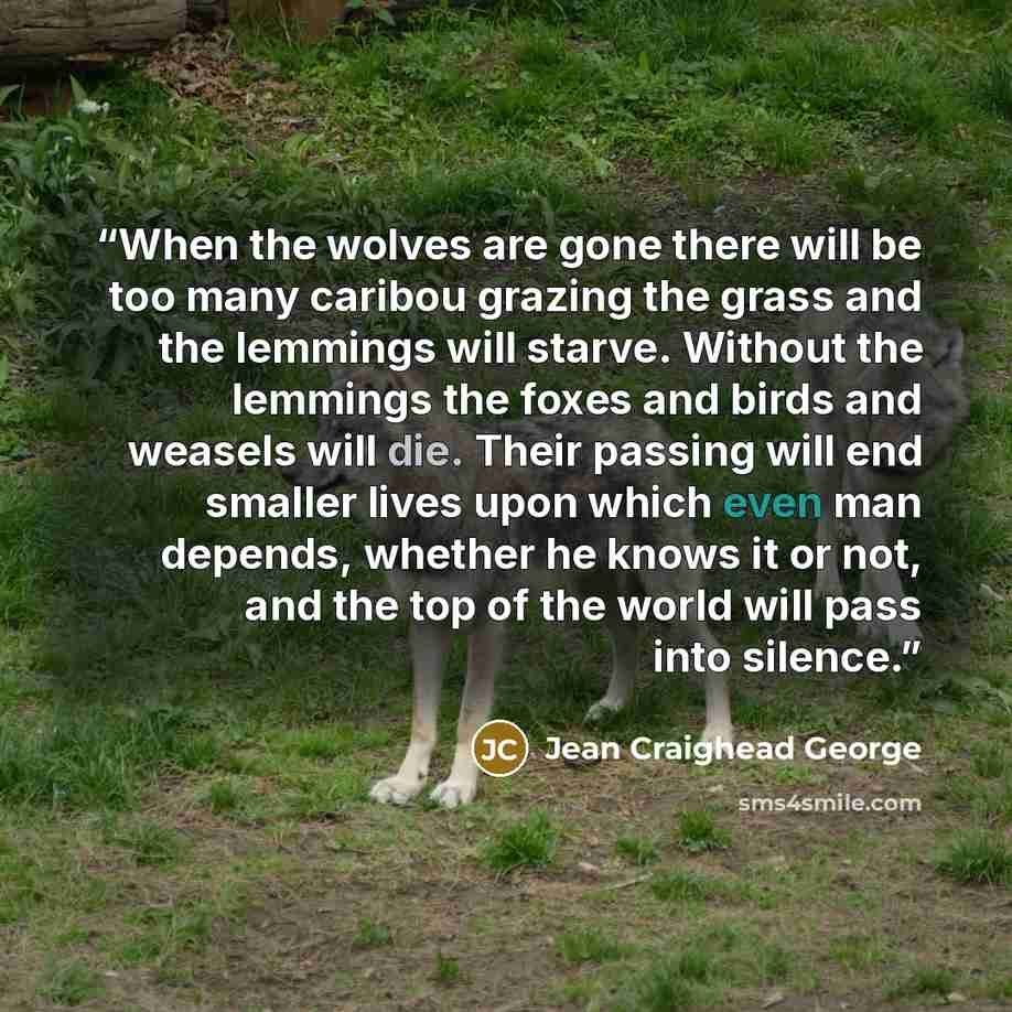 “When the wolves are gone there will be too many caribou grazing the grass and the lemmings will starve. Without the lemmings the foxes and birds and weasels will die. Their passing will end smaller lives upon which even man depends, whether he knows it or not, and the top of the world will pass…” quote by Jean Craighead George