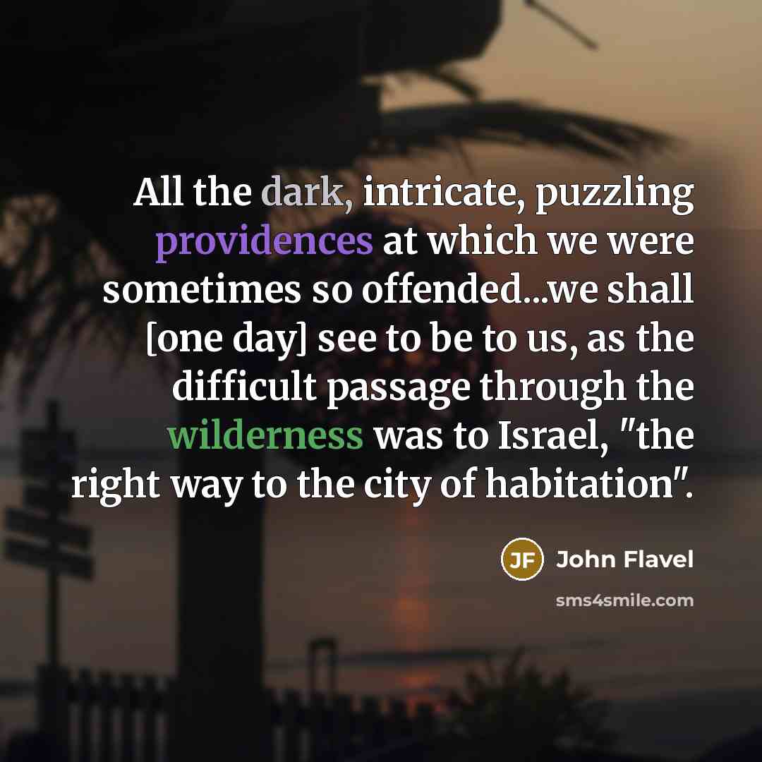 “All the dark, intricate, puzzling providences at which we were sometimes so offended...we shall [one day] see to be to us, as the difficult passage through the wilderness was to Israel, "the right way to the city of habitation".” quote by John Flavel