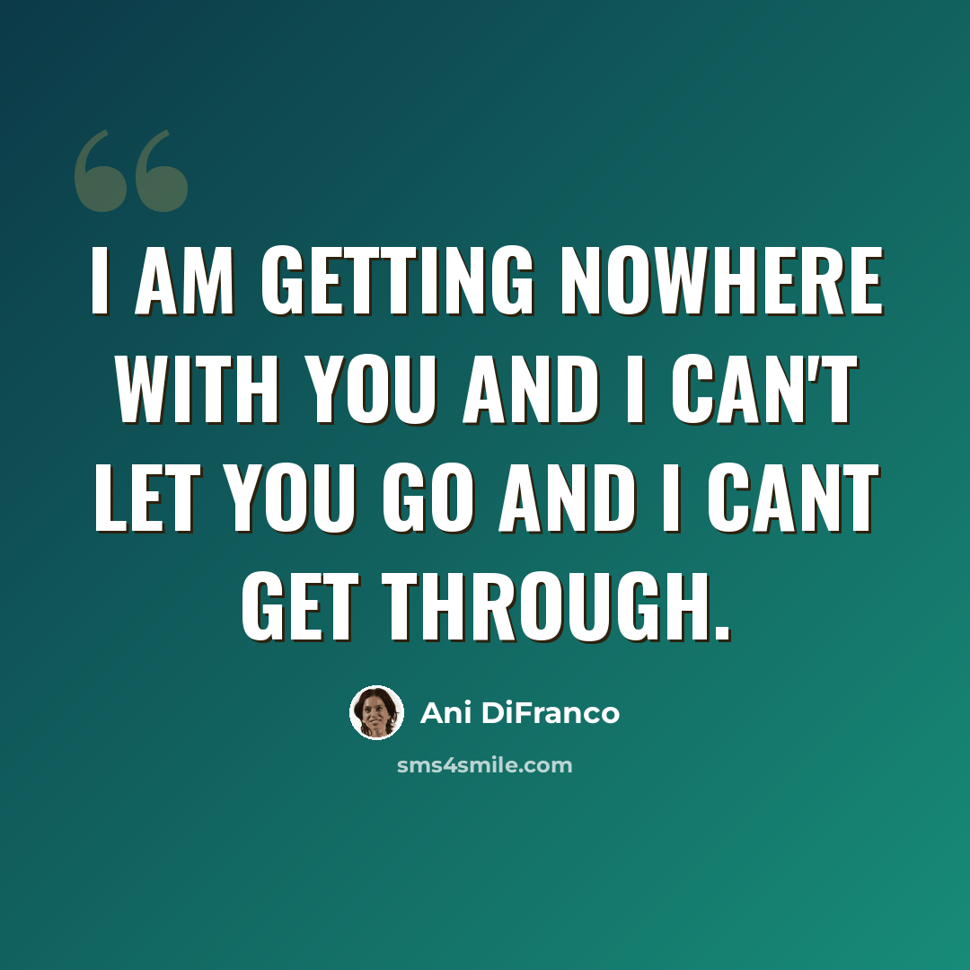“I am getting nowhere with you and I can't let you go and I cant get through.” quote by Ani DiFranco