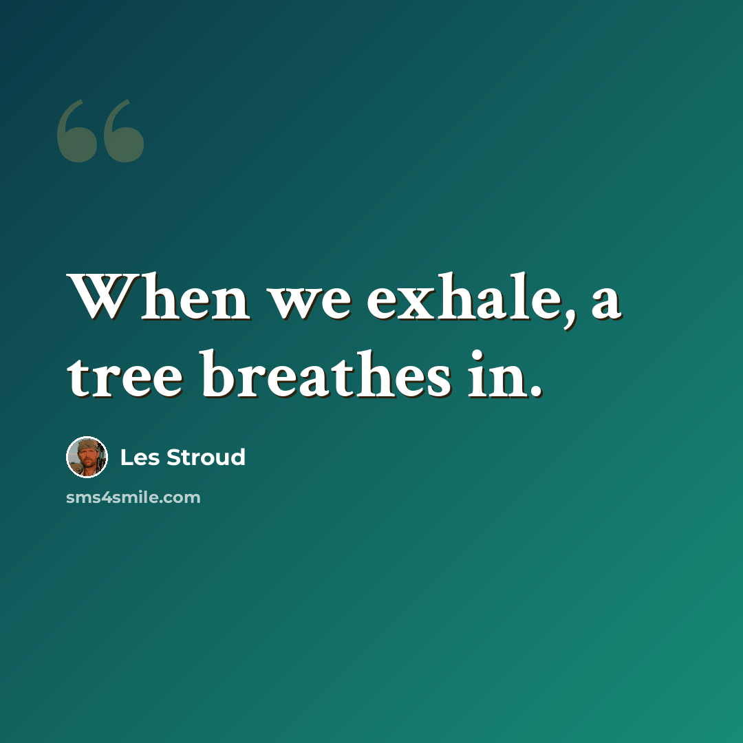 “When we exhale, a tree breathes in.” quote by Les Stroud