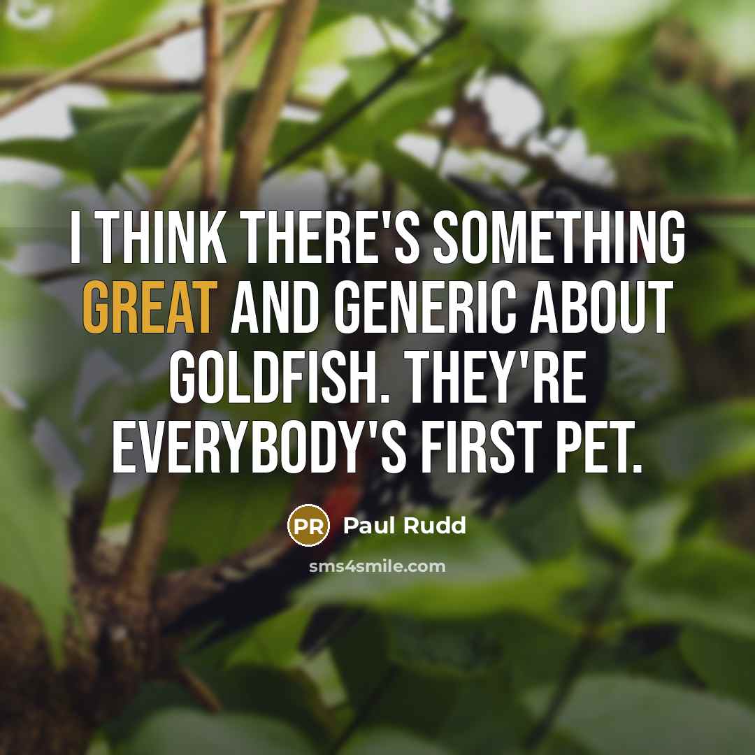 “I think there's something great and generic about goldfish. They're everybody's first pet.” quote by Paul Rudd