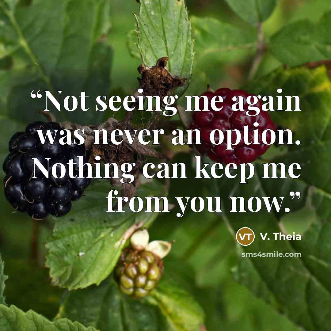“Not seeing me again was never an option. Nothing can keep me from you now.” quote by V. Theia