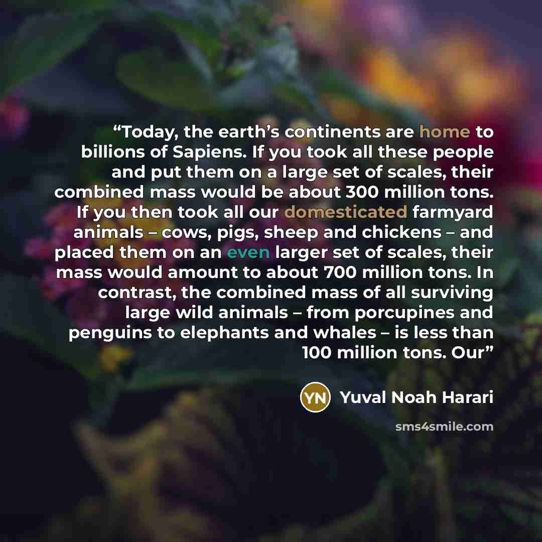 “Today, the earth’s continents are home to billions of Sapiens. If you took all these people and put them on a large set of scales, their combined mass would be about 300 million tons. If you then took all our domesticated farmyard animals – cows, pigs, sheep and chickens – and placed them on an…” quote by Yuval Noah Harari