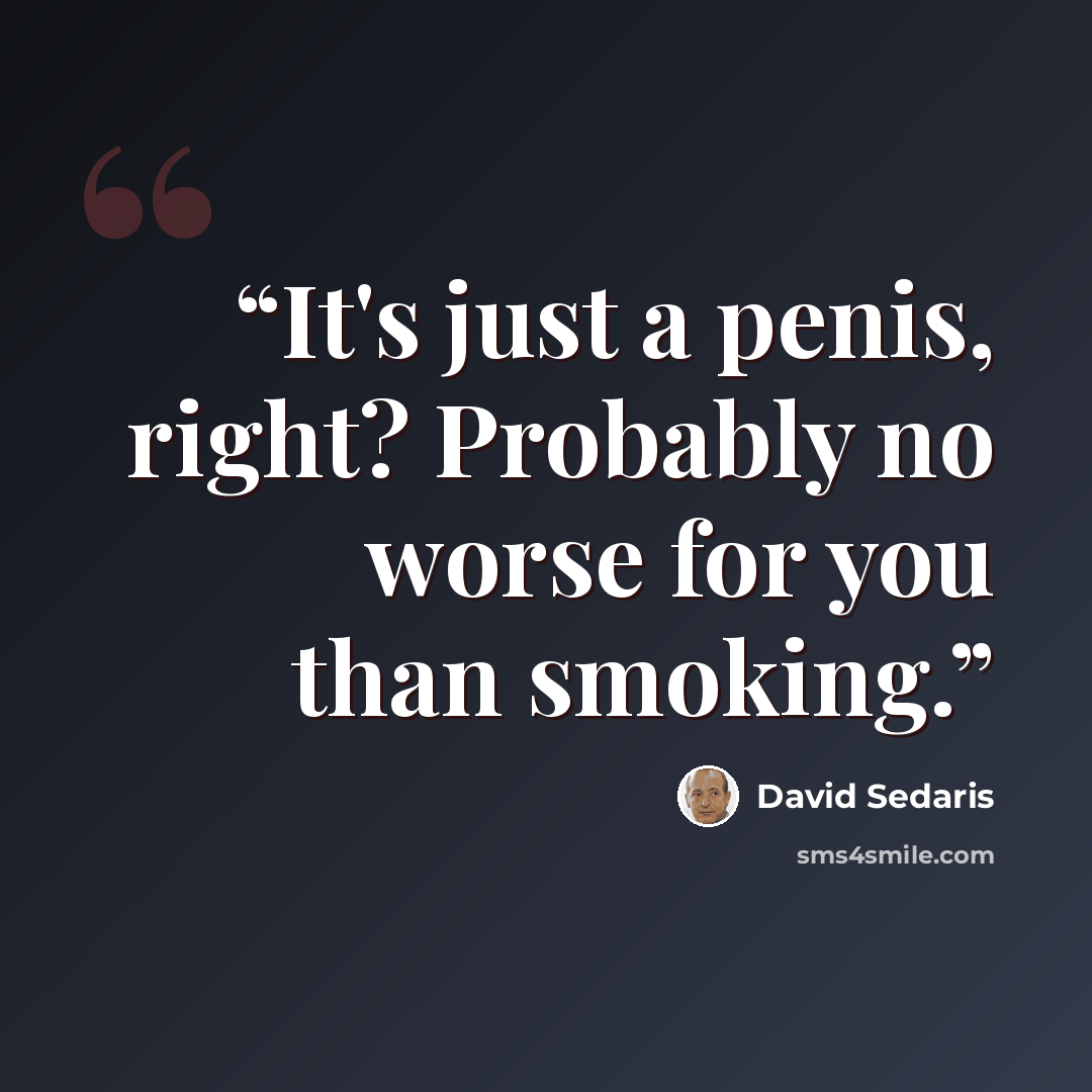 “It's just a penis, right? Probably no worse for you than smoking.” quote by David Sedaris