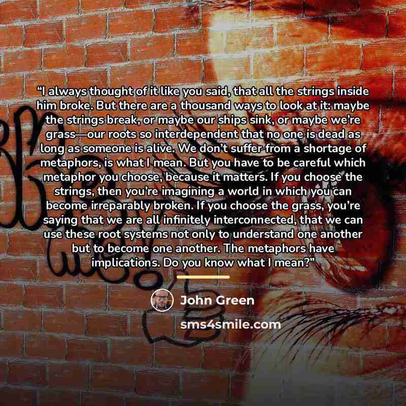 “I always thought of it like you said, that all the strings inside him broke. But there are a thousand ways to look at it: maybe the strings break, or maybe our ships sink, or maybe we’re grass—our roots so interdependent that no one is dead as long as someone is alive. We don’t suffer from a…” quote by John Green