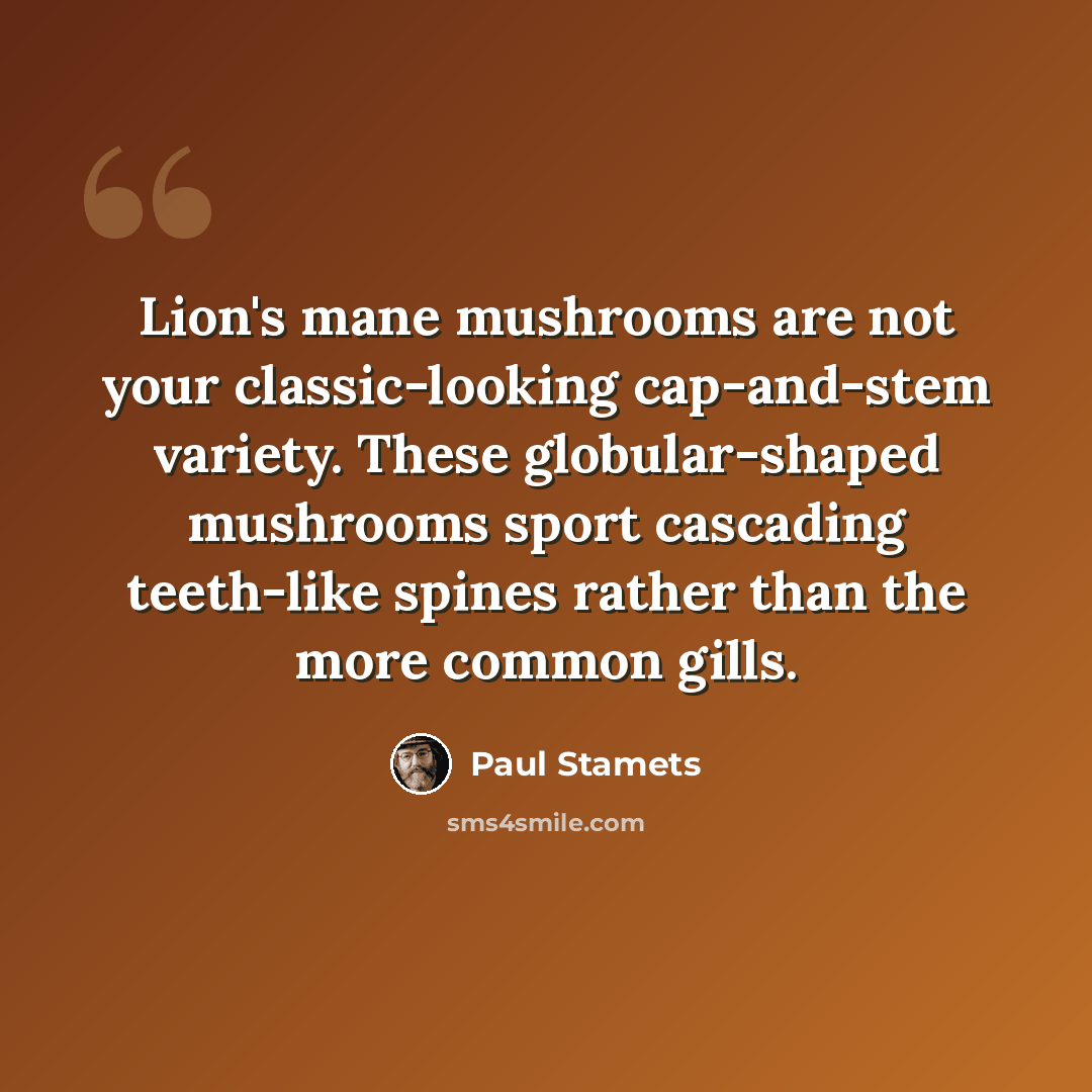 “Lion's mane mushrooms are not your classic-looking cap-and-stem variety. These globular-shaped mushrooms sport cascading teeth-like spines rather than the more common gills.” quote by Paul Stamets
