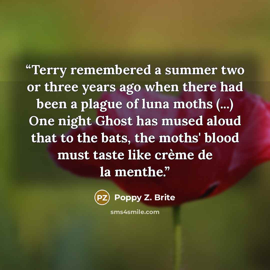 “Terry remembered a summer two or three years ago when there had been a plague of luna moths (...) One night Ghost has mused aloud that to the bats, the moths' blood must taste like crème de la menthe.” quote by Poppy Z. Brite