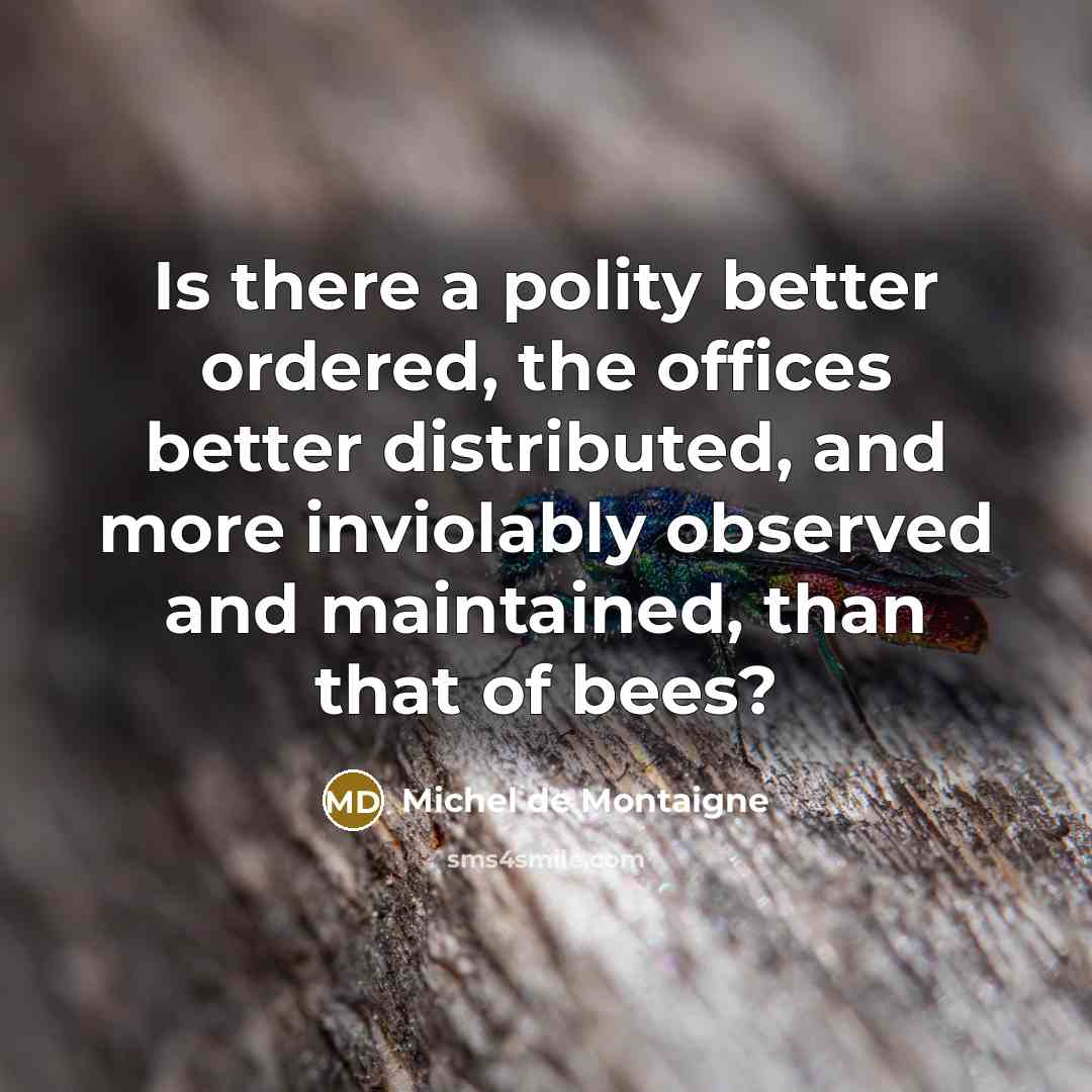 “Is there a polity better ordered, the offices better distributed, and more inviolably observed and maintained, than that of bees?” quote by Michel de Montaigne