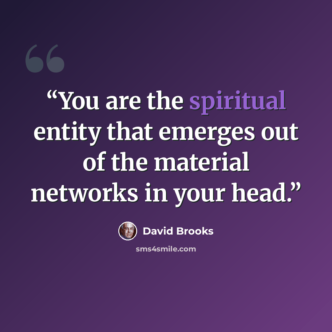 “You are the spiritual entity that emerges out of the material networks in your head.” quote by David Brooks