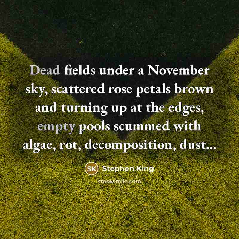 “Dead fields under a November sky, scattered rose petals brown and turning up at the edges, empty pools scummed with algae, rot, decomposition, dust...” quote by Stephen King