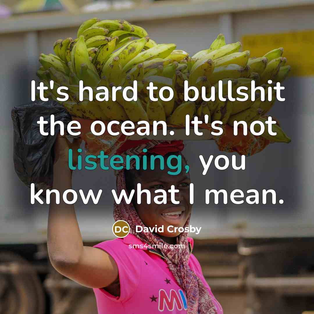 “It's hard to bullshit the ocean. It's not listening, you know what I mean.” quote by David Crosby