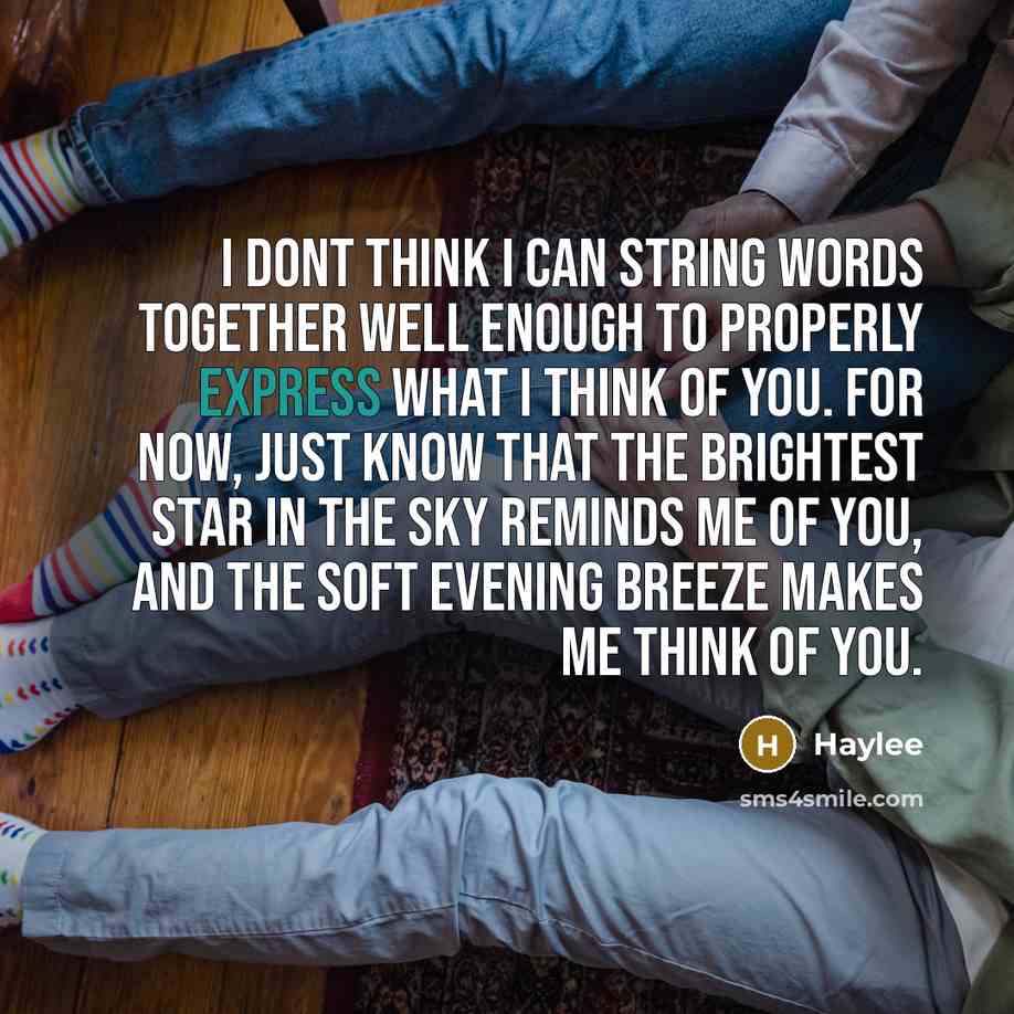 “I dont think I can string words together well enough to properly express what I think of you. for now, just know that the brightest star in the sky reminds me of you, and the soft evening breeze makes me think of you.” quote by Haylee