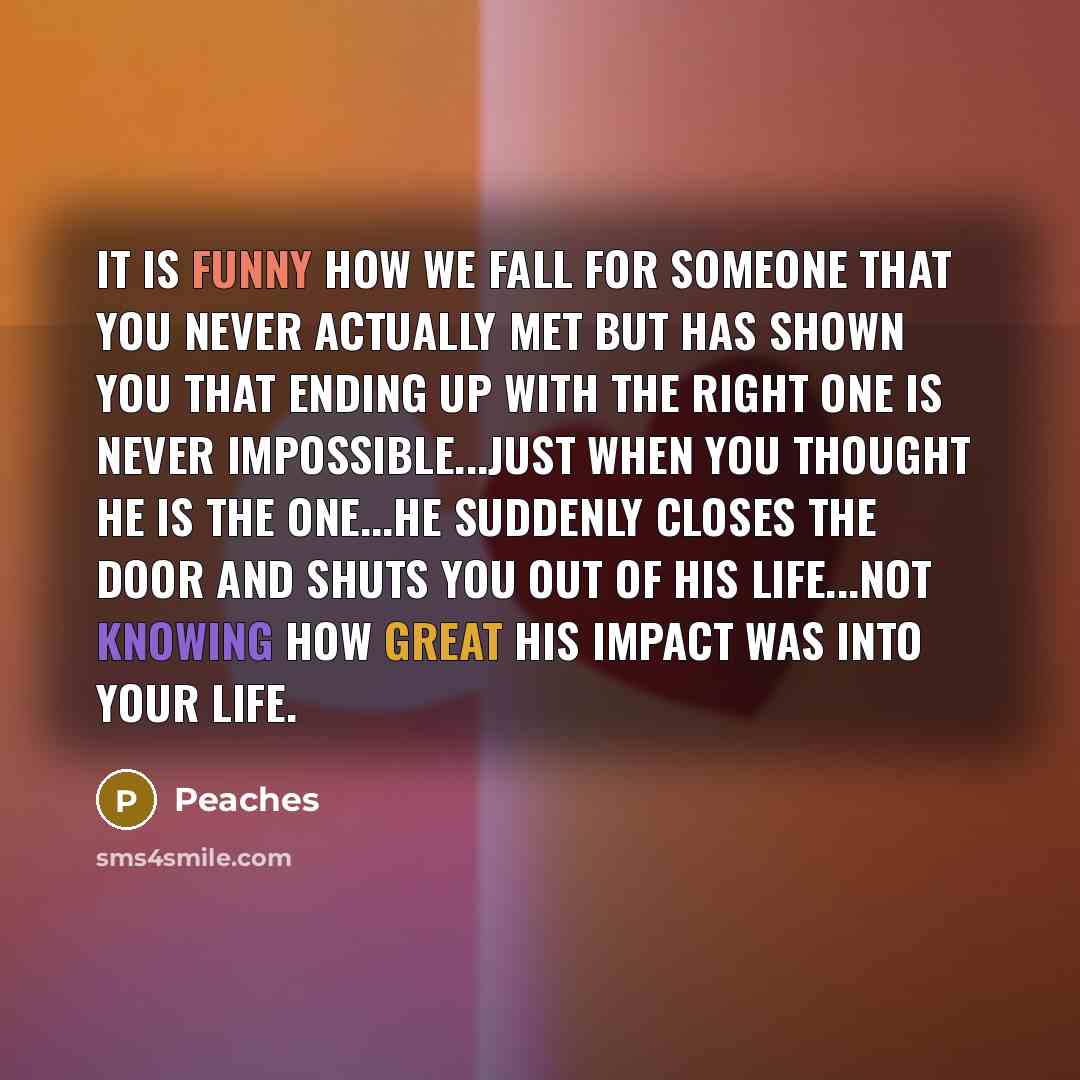 “It is funny how we fall for someone that you never actually met but has shown you that ending up with the right one is never impossible...just when you thought he is the one...he suddenly closes the door and shuts you out of his life...not knowing how great his impact was into your life.” quote by Peaches