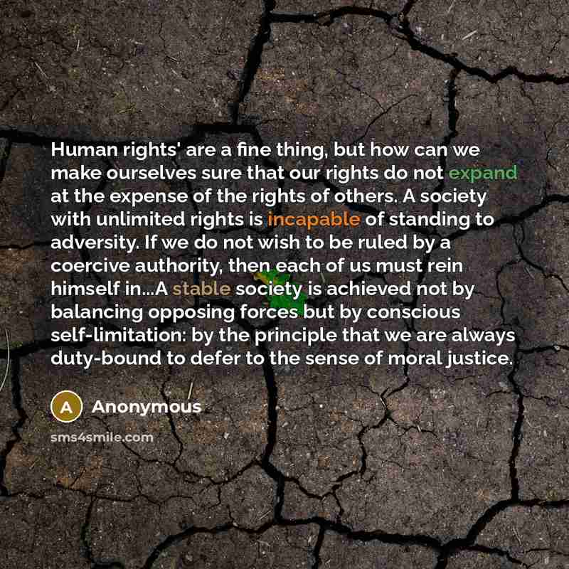 “Human rights' are a fine thing, but how can we make ourselves sure that our rights do not expand at the expense of the rights of others. A society with unlimited rights is incapable of standing to adversity. If we do not wish to be ruled by a coercive authority, then each of us must rein himself…” quote by Anonymous