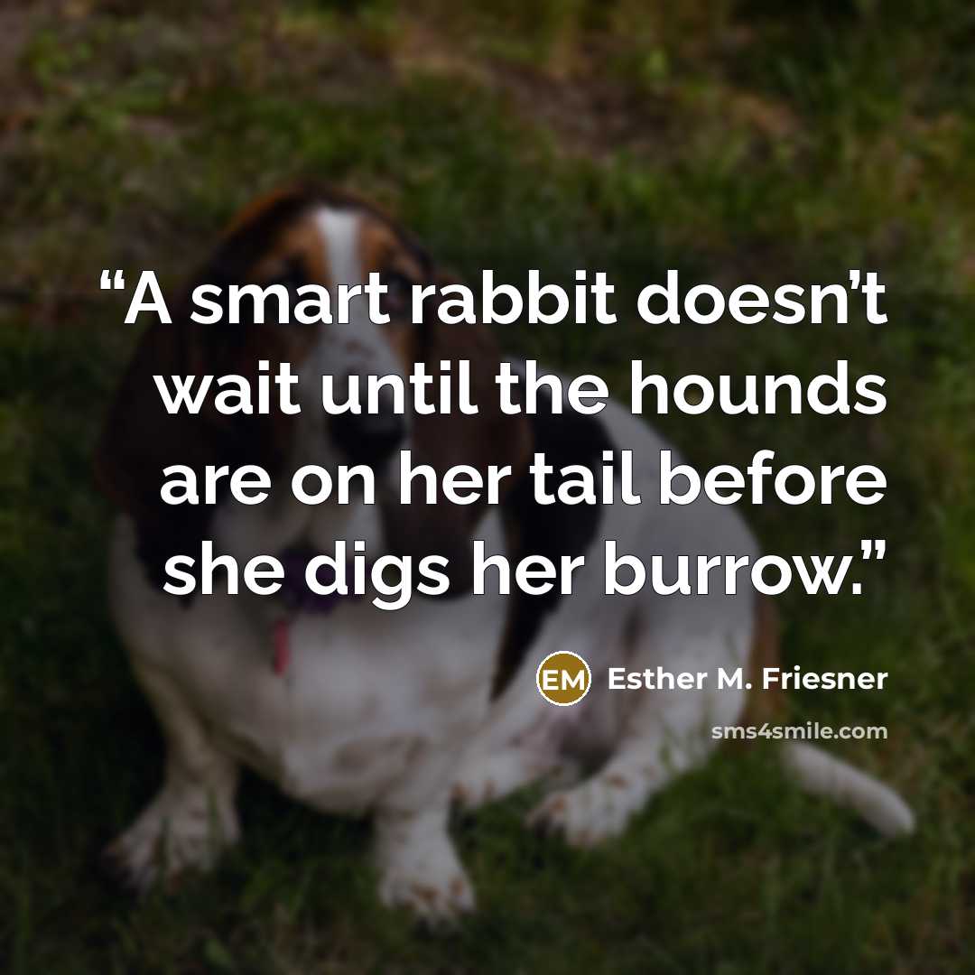 “A smart rabbit doesn’t wait until the hounds are on her tail before she digs her burrow.” quote by Esther M. Friesner