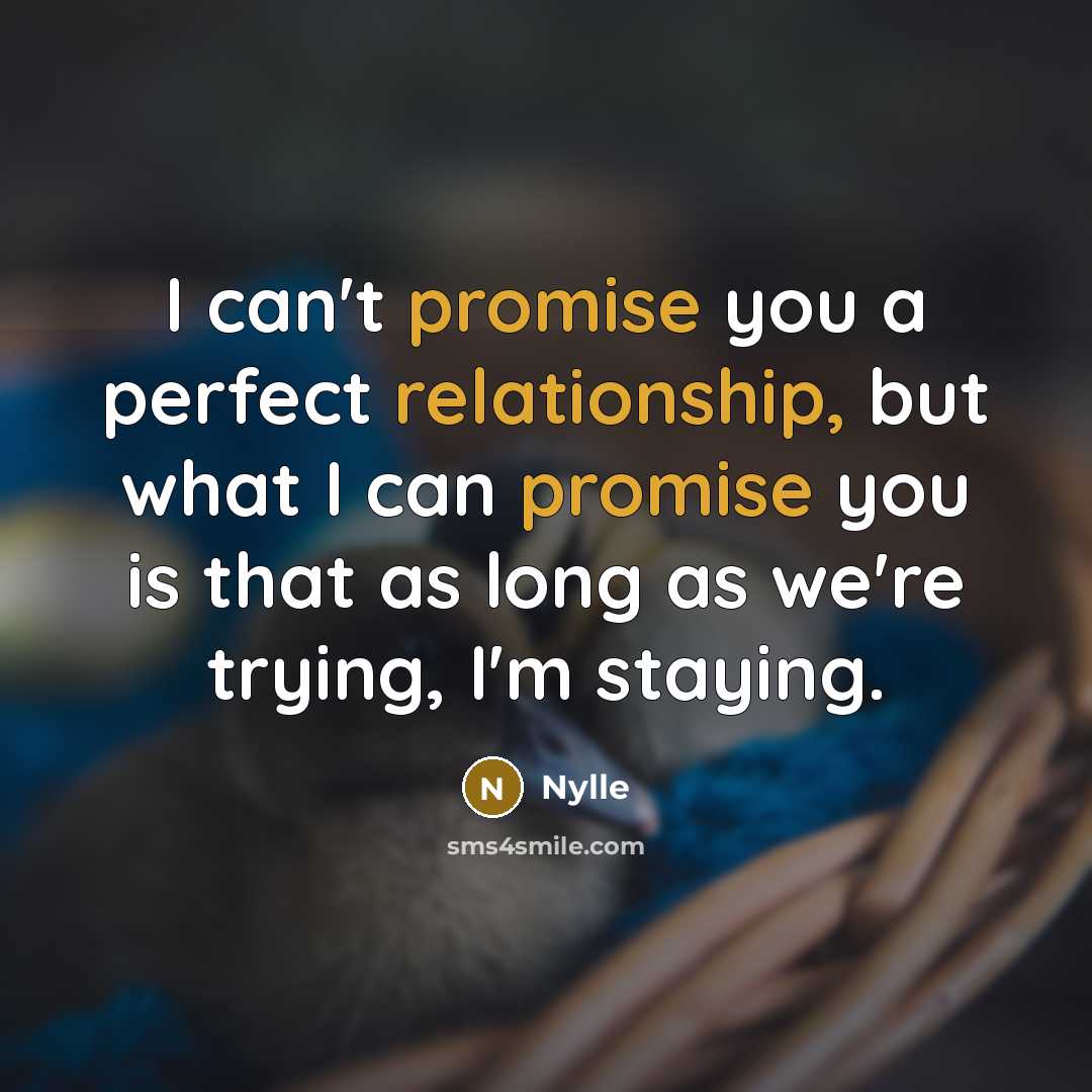 “I can't promise you a perfect relationship, but what I can promise you is that as long as we're trying, I'm staying.” quote by Nylle