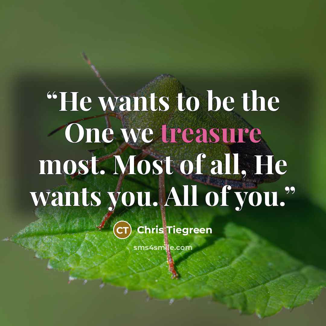 “He wants to be the One we treasure most. Most of all, He wants you. All of you.” quote by Chris Tiegreen