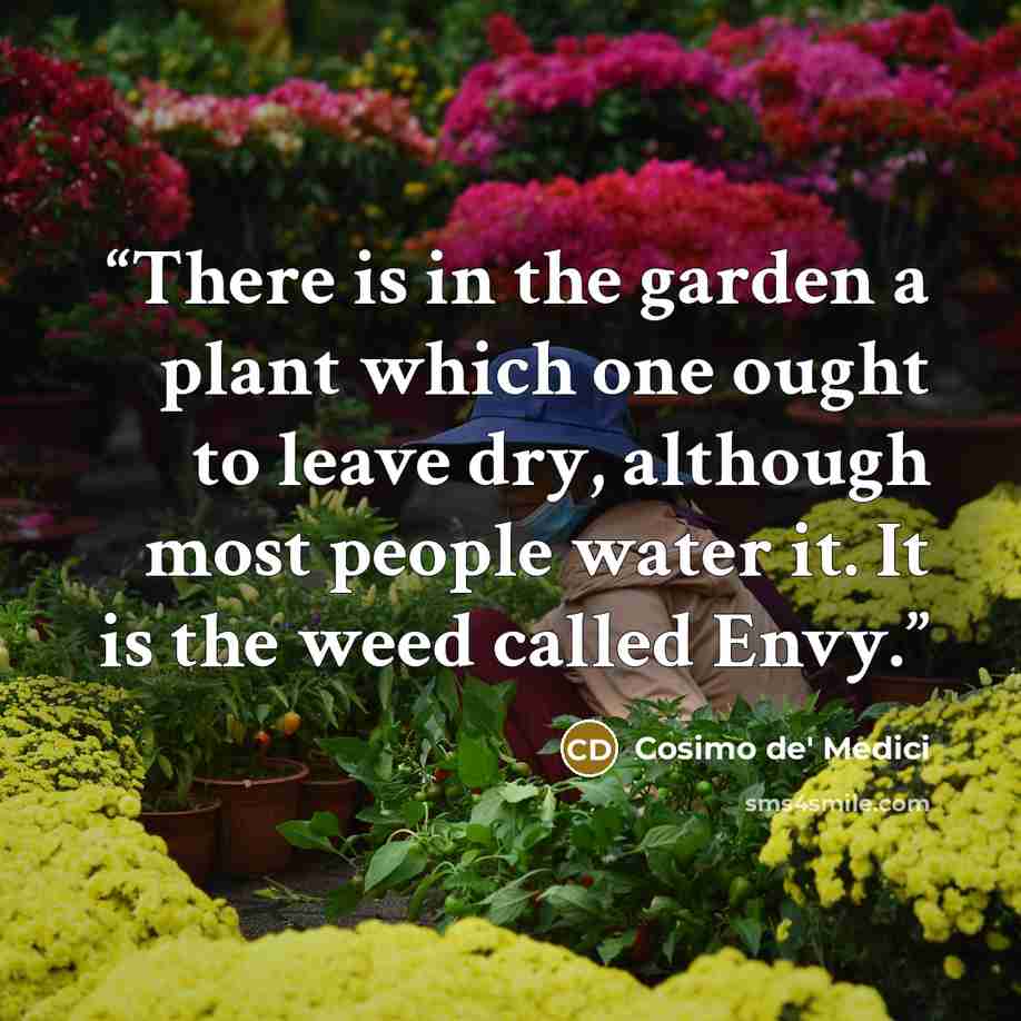 “There is in the garden a plant which one ought to leave dry, although most people water it. It is the weed called Envy.” quote by Cosimo de' Medici
