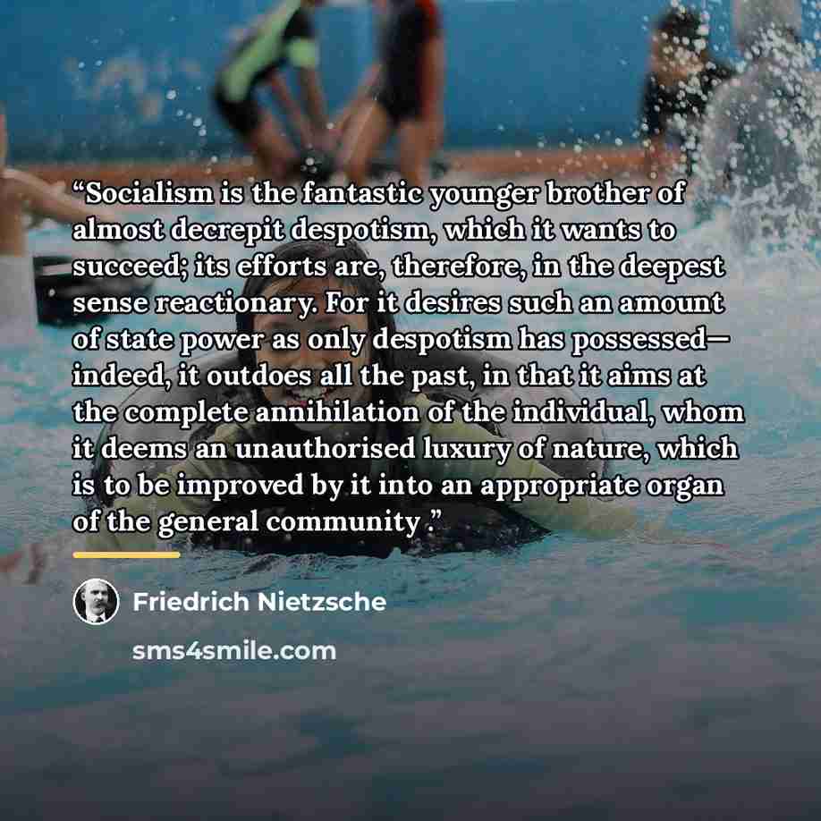 “Socialism is the fantastic younger brother of almost decrepit despotism, which it wants to succeed; its efforts are, therefore, in the deepest sense reactionary. For it desires such an amount of state power as only despotism has possessed— indeed, it outdoes all the past, in that it aims at the…” quote by Friedrich Nietzsche