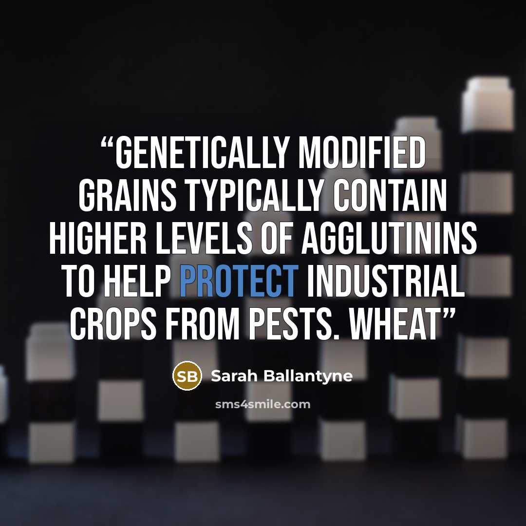 “genetically modified grains typically contain higher levels of agglutinins to help protect industrial crops from pests. Wheat” quote by Sarah Ballantyne