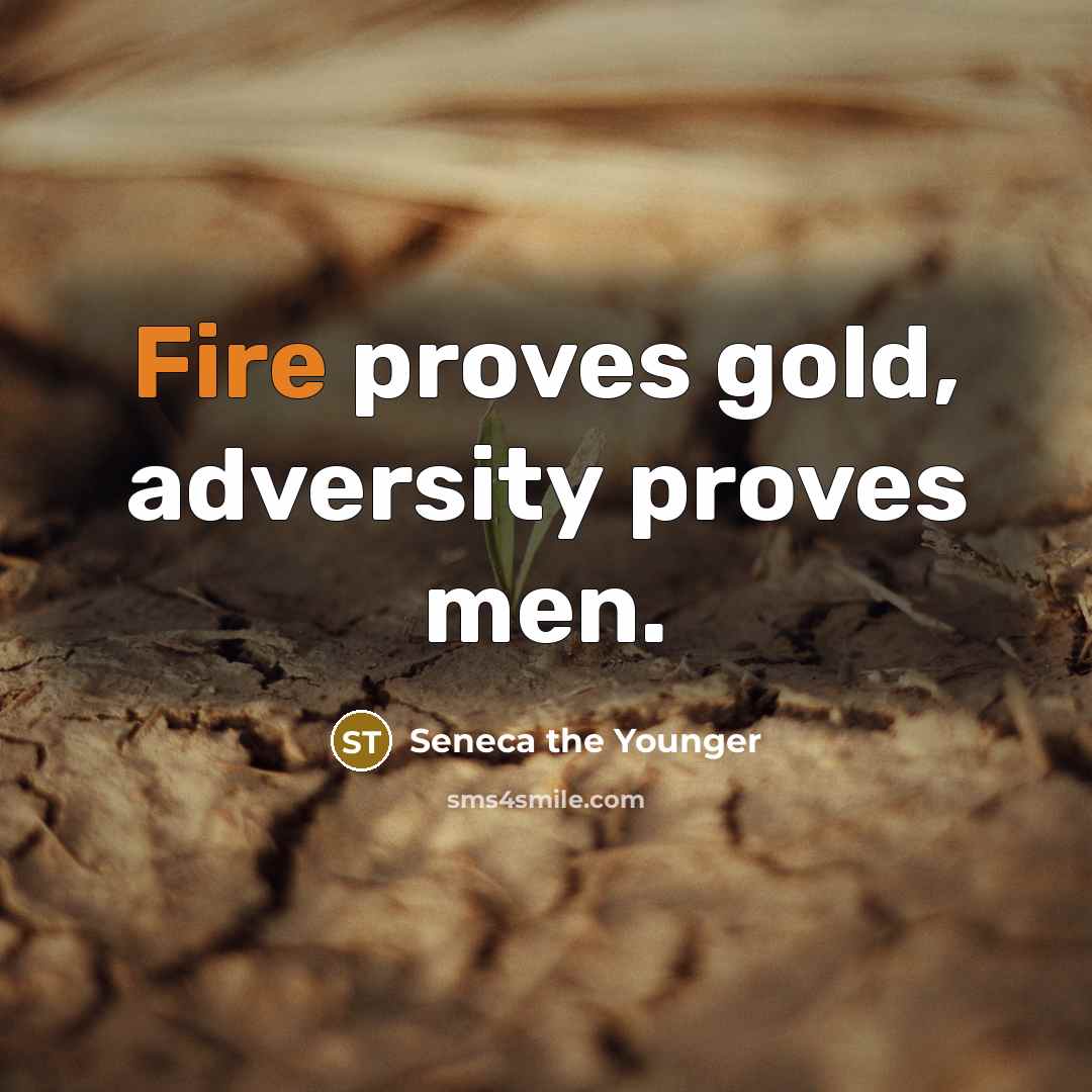 “Fire proves gold, adversity proves men.” quote by Seneca the Younger