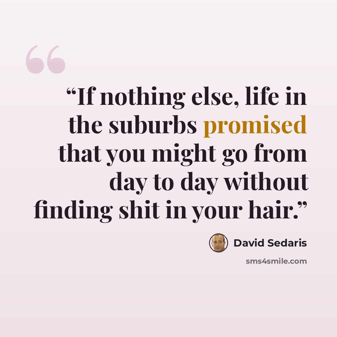 “If nothing else, life in the suburbs promised that you might go from day to day without finding shit in your hair.” quote by David Sedaris