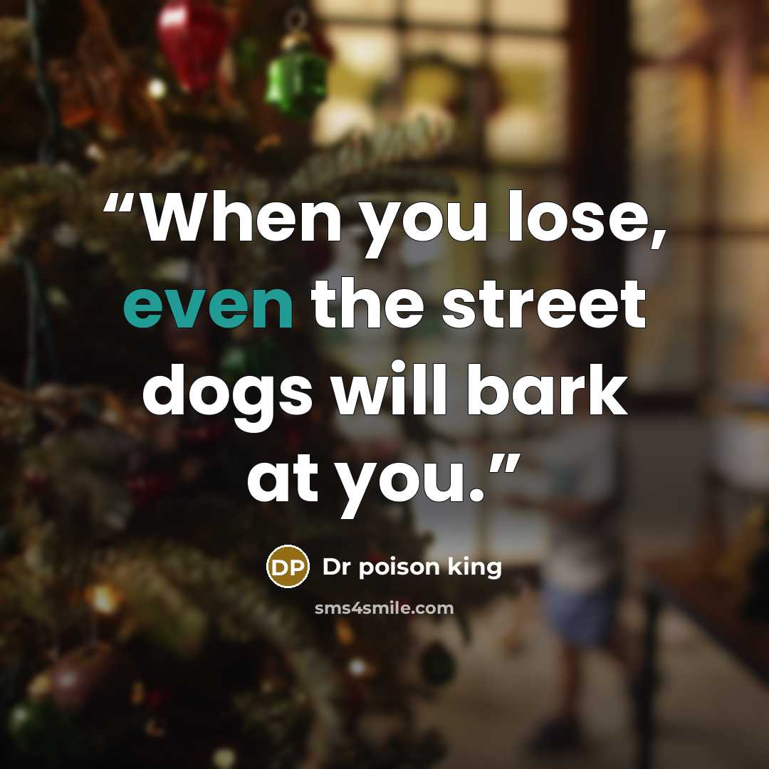 “When you lose, even the street dogs will bark at you.” quote by Dr poison king