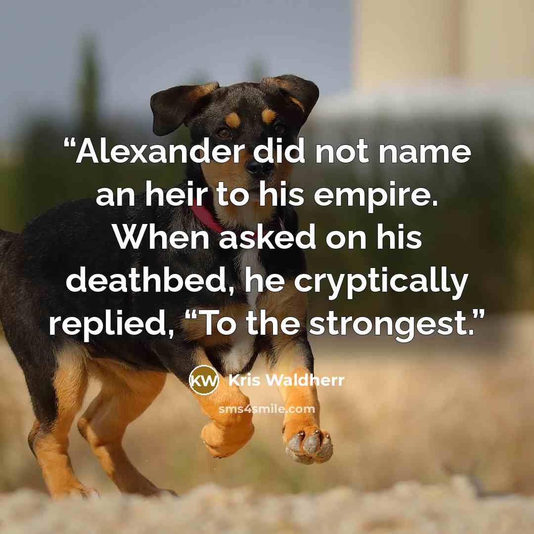 “Alexander did not name an heir to his empire. When asked on his deathbed, he cryptically replied, “To the strongest.” quote by Kris Waldherr