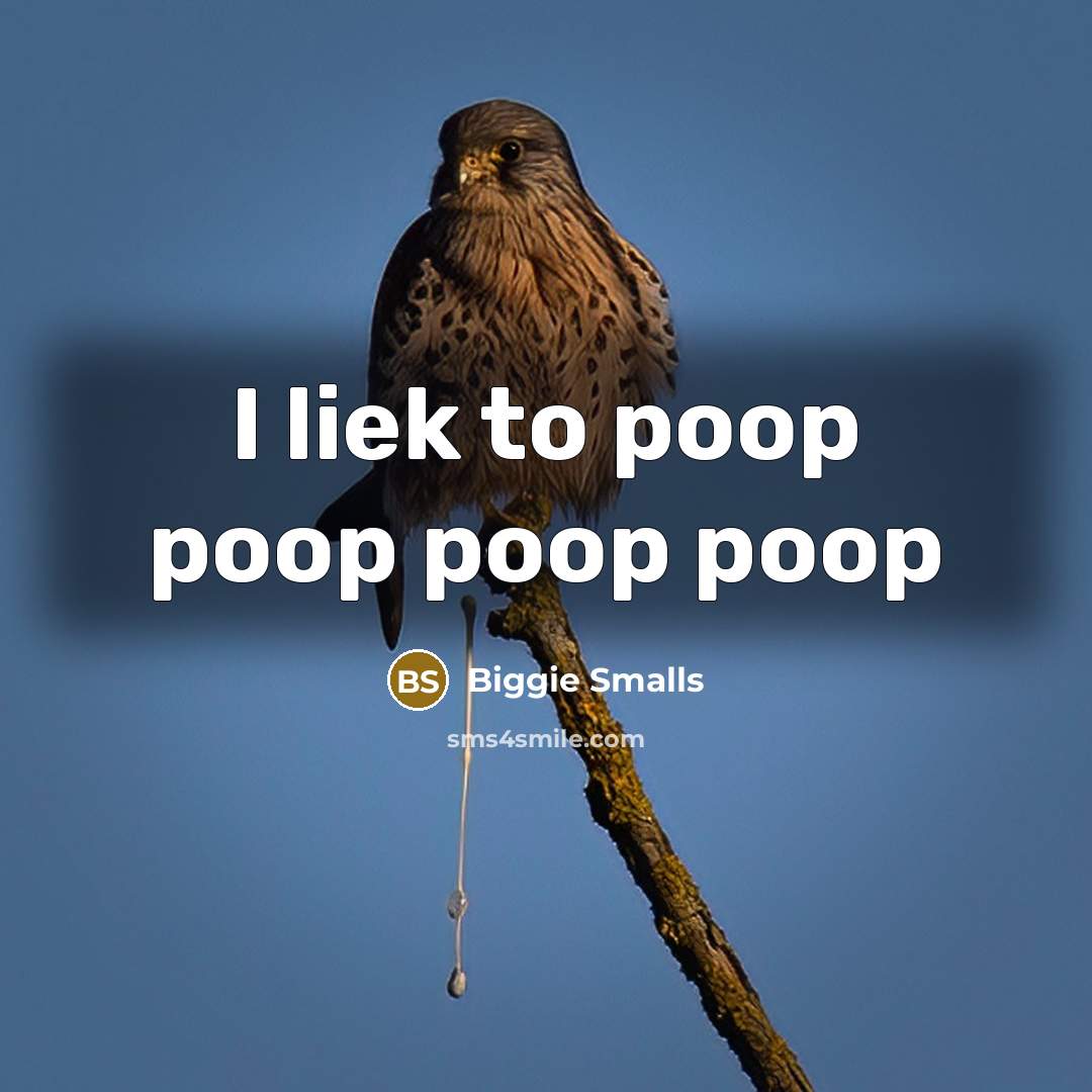 “I liek to poop poop poop poop” quote by Biggie Smalls
