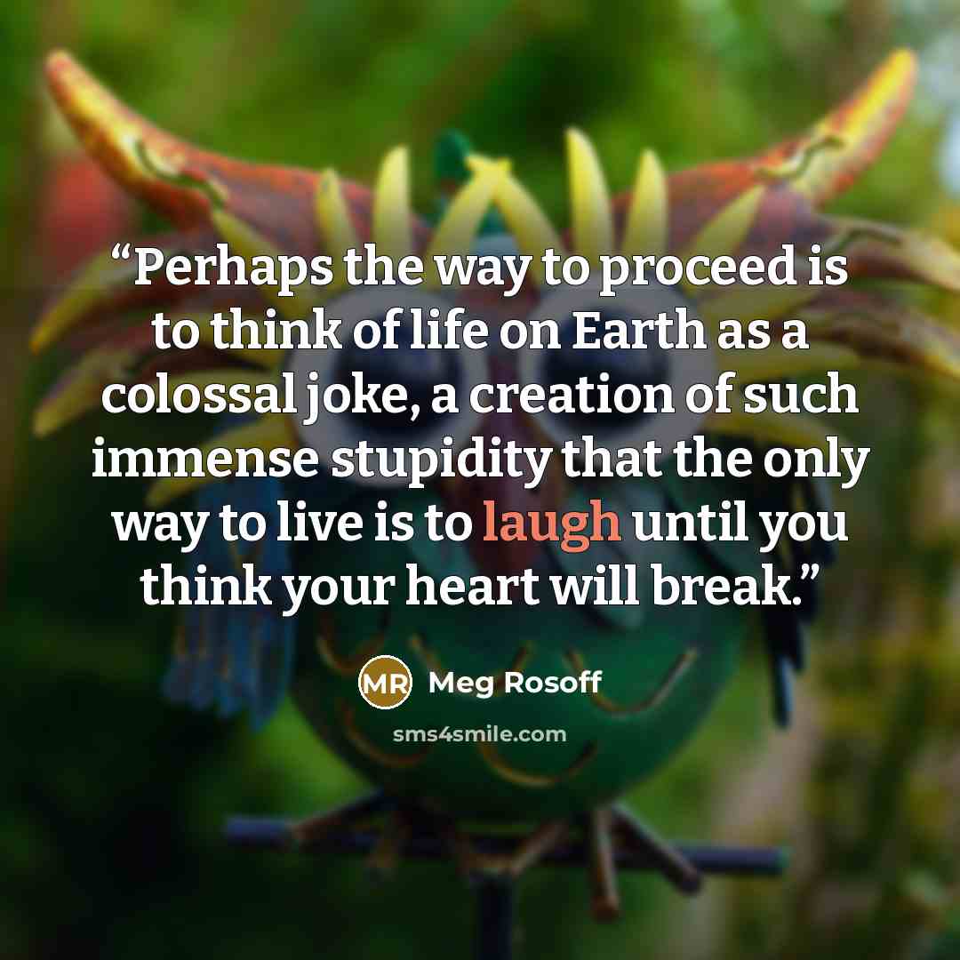 “Perhaps the way to proceed is to think of life on Earth as a colossal joke, a creation of such immense stupidity that the only way to live is to laugh until you think your heart will break.” quote by Meg Rosoff