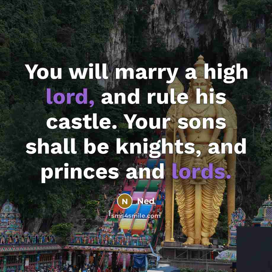 “You will marry a high lord, and rule his castle. Your sons shall be knights, and princes and lords.” quote by Ned
