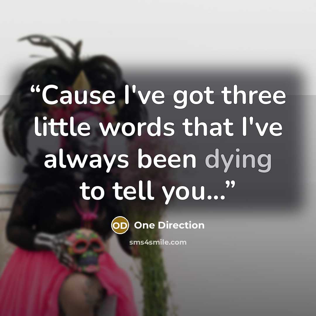 “Cause I've got three little words that I've always been dying to tell you...” quote by One Direction