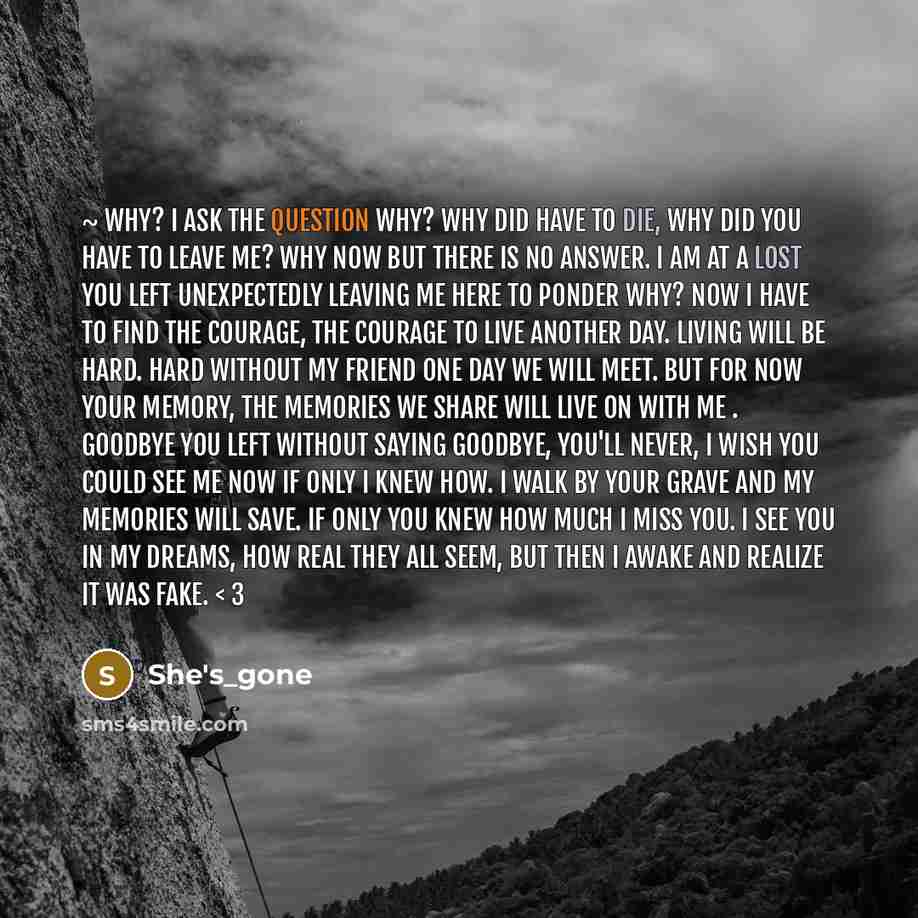 “~ why? I ask the question why? why did have to die, why did you have to leave me? why now but there is no answer. I am at a lost you left unexpectedly leaving me here to ponder why? now I have to find the courage, the courage to live another day. living will be hard. hard without my friend one day…” quote by She's_gone