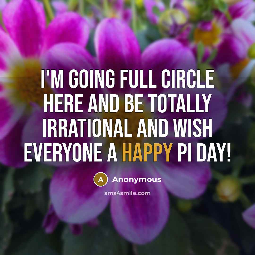 “I'm going full circle here and be totally irrational and wish everyone a Happy Pi Day!” quote by Anonymous