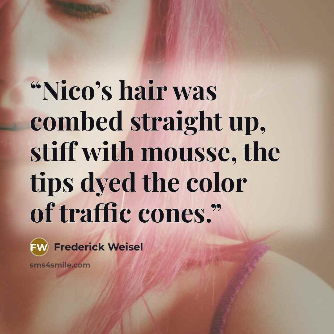 “Nico’s hair was combed straight up, stiff with mousse, the tips dyed the color of traffic cones.” quote by Frederick Weisel