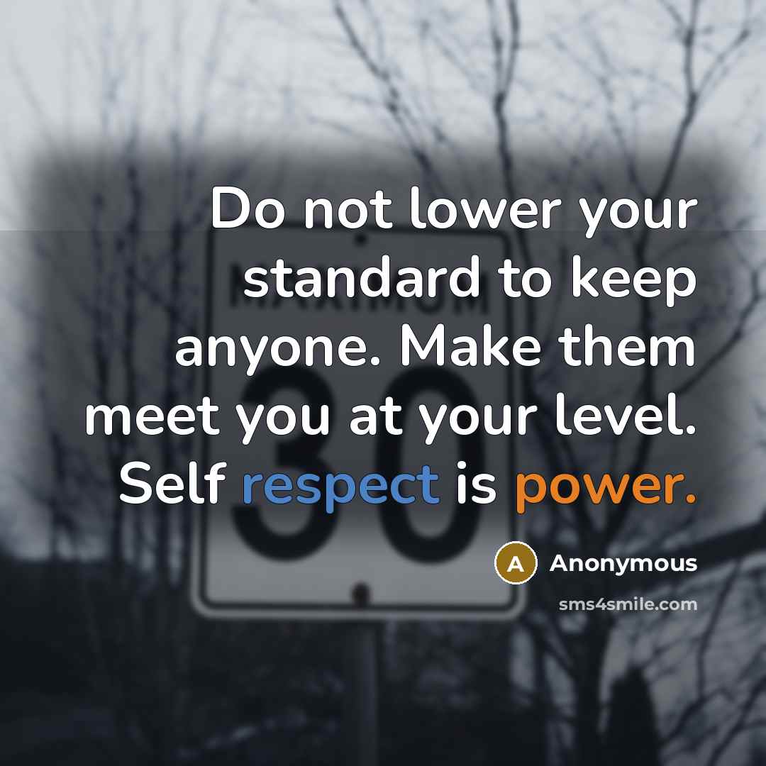 “Do not lower your standard to keep anyone. Make them meet you at your level. Self respect is power.” quote by Anonymous