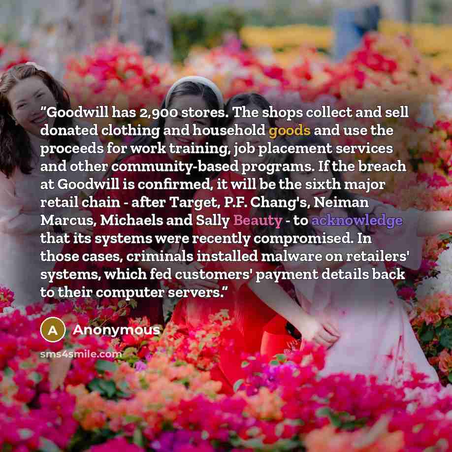 “Goodwill has 2,900 stores. The shops collect and sell donated clothing and household goods and use the proceeds for work training, job placement services and other community-based programs. If the breach at Goodwill is confirmed, it will be the sixth major retail chain - after Target, P.F…” quote by Anonymous