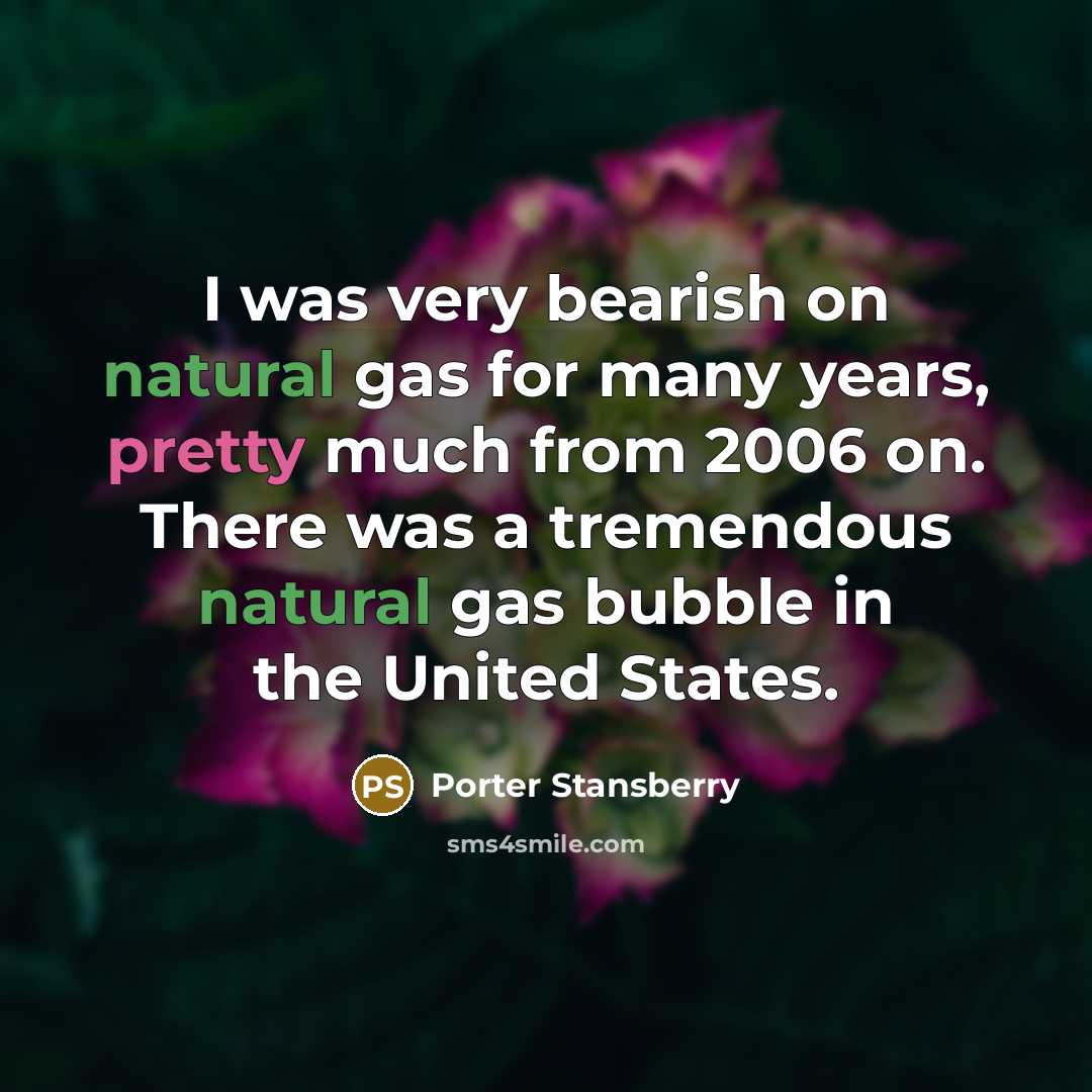 “I was very bearish on natural gas for many years, pretty much from 2006 on. There was a tremendous natural gas bubble in the United States.” quote by Porter Stansberry