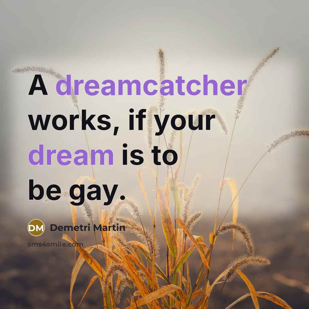 “A dreamcatcher works, if your dream is to be gay.” quote by Demetri Martin