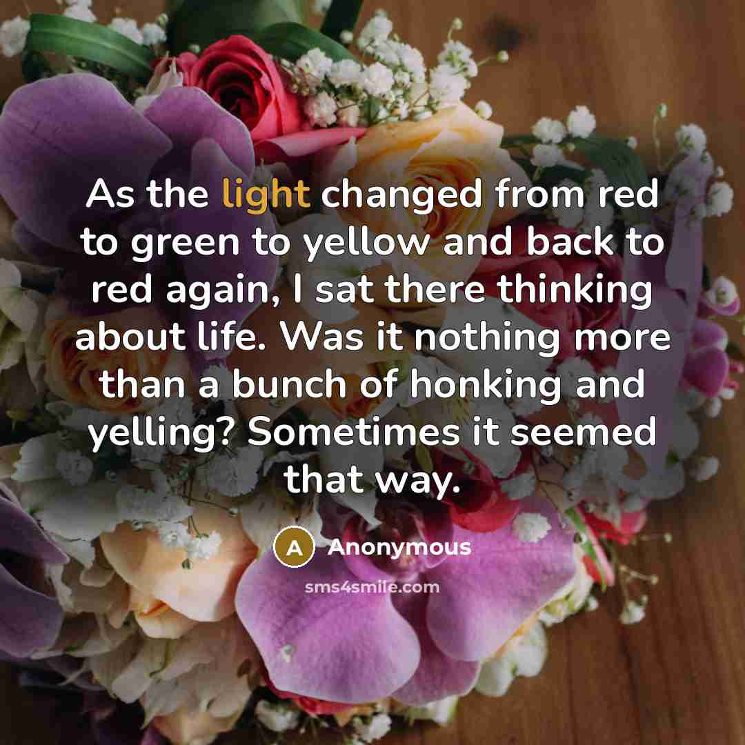 “As the light changed from red to green to yellow and back to red again, I sat there thinking about life. Was it nothing more than a bunch of honking and yelling? Sometimes it seemed that way.” quote by Anonymous