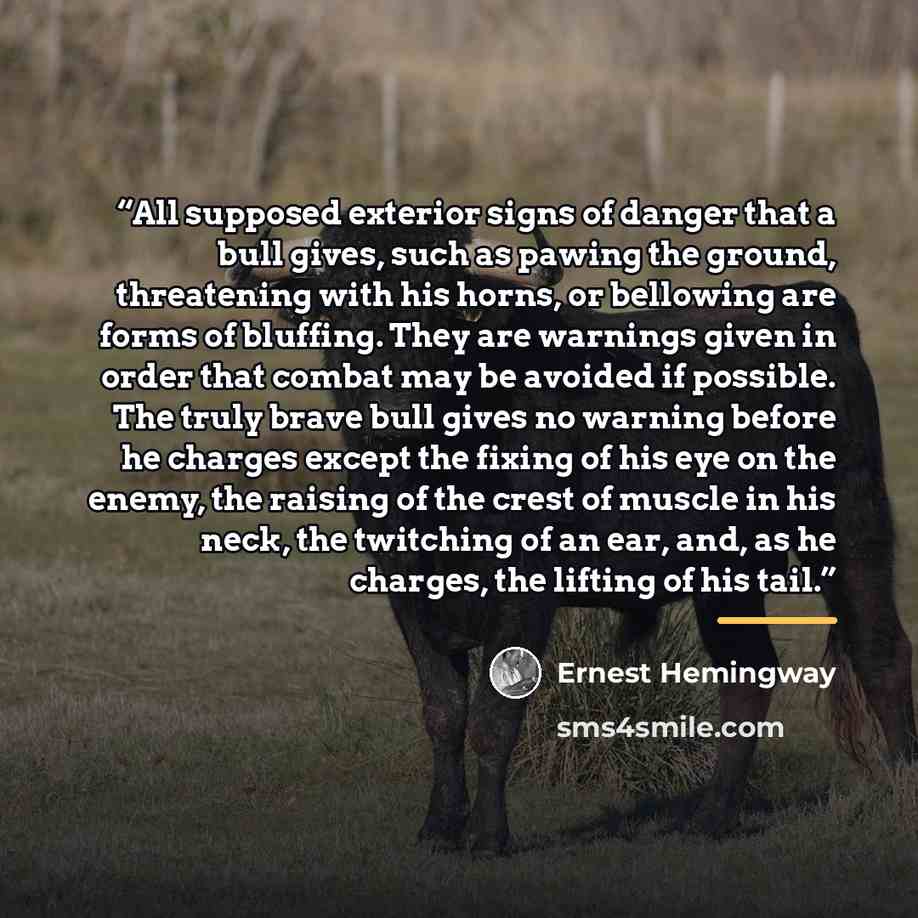 “All supposed exterior signs of danger that a bull gives, such as pawing the ground, threatening with his horns, or bellowing are forms of bluffing. They are warnings given in order that combat may be avoided if possible. The truly brave bull gives no warning before he charges except the fixing of…” quote by Ernest Hemingway