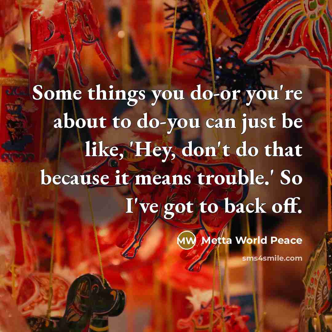 “Some things you do-or you're about to do-you can just be like, 'Hey, don't do that because it means trouble.' So I've got to back off.” quote by Metta World Peace