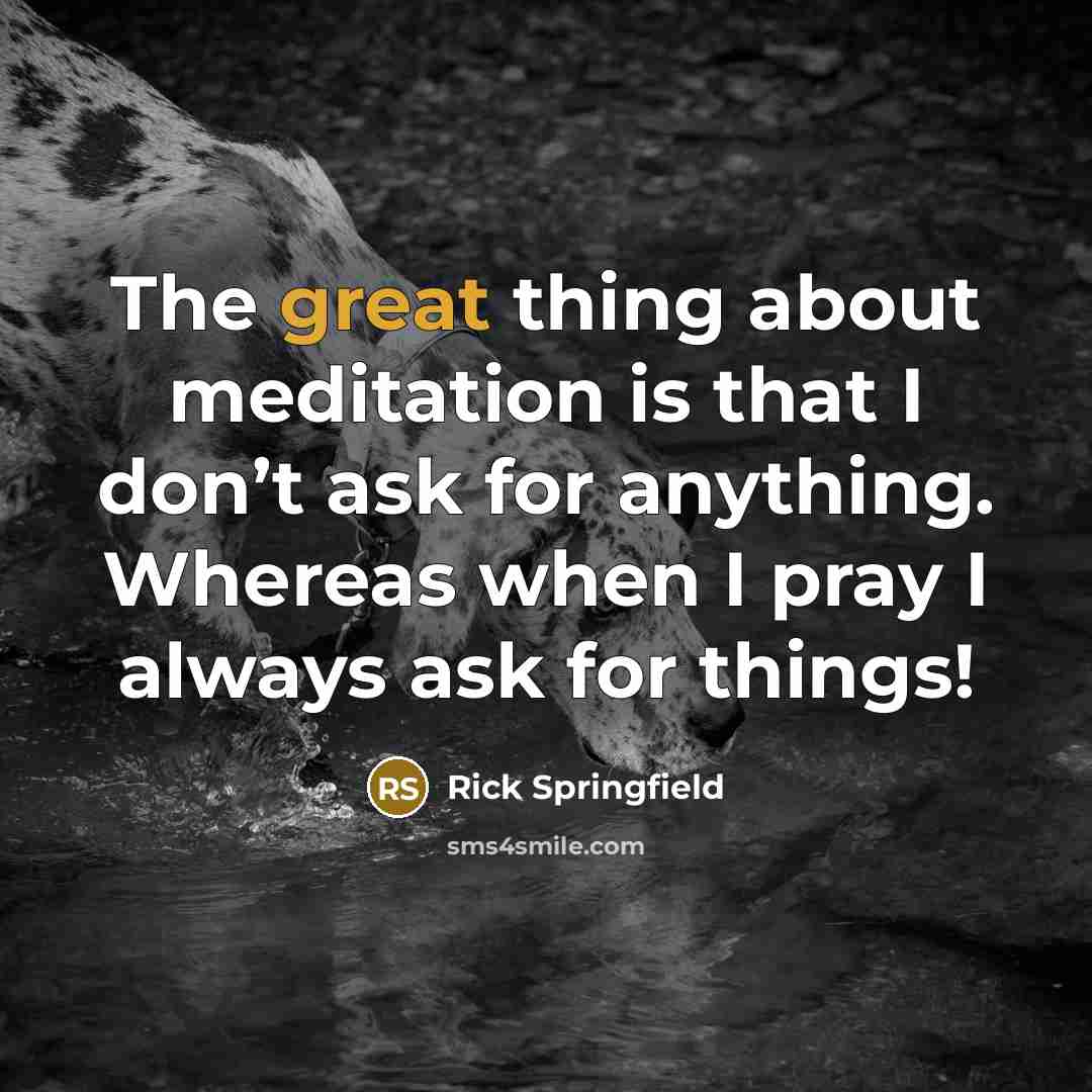 “The great thing about meditation is that I don’t ask for anything. Whereas when I pray I always ask for things!” quote by Rick Springfield