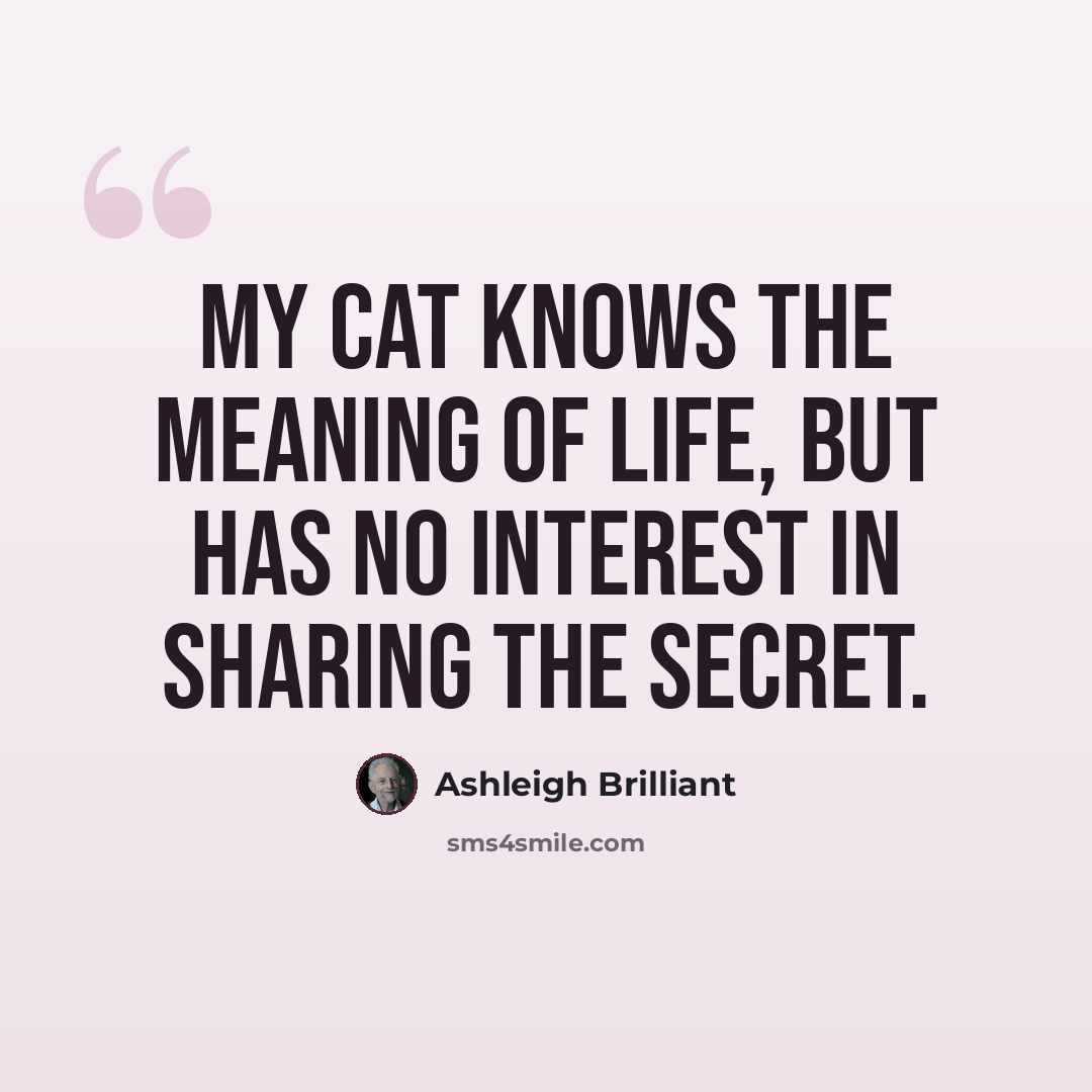 “My cat knows the meaning of life, but has no interest in sharing the secret.” quote by Ashleigh Brilliant